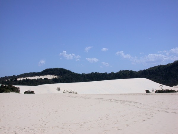 The Desert